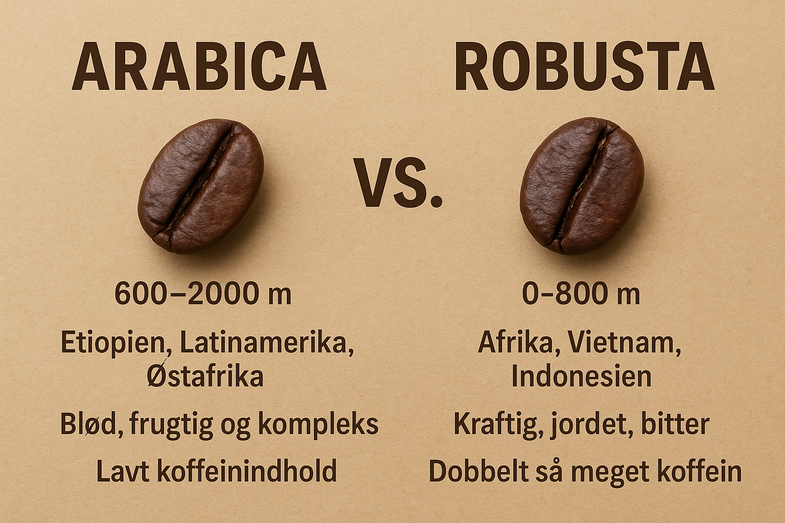Arabica vs. Robusta: Kaffens to verdener