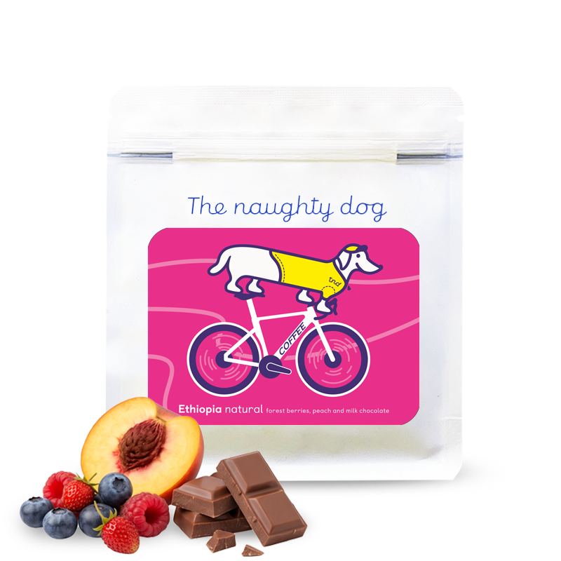 Ethiopia GEDEB CYCLIST – A Cycling Treat The Naughty Dog
